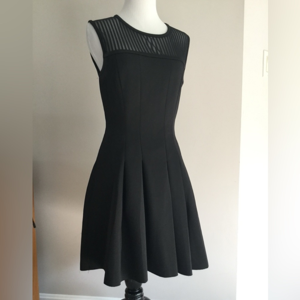 Sans Souci Black Mini Dress with Sheer Stripes